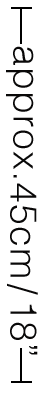 約45cm
